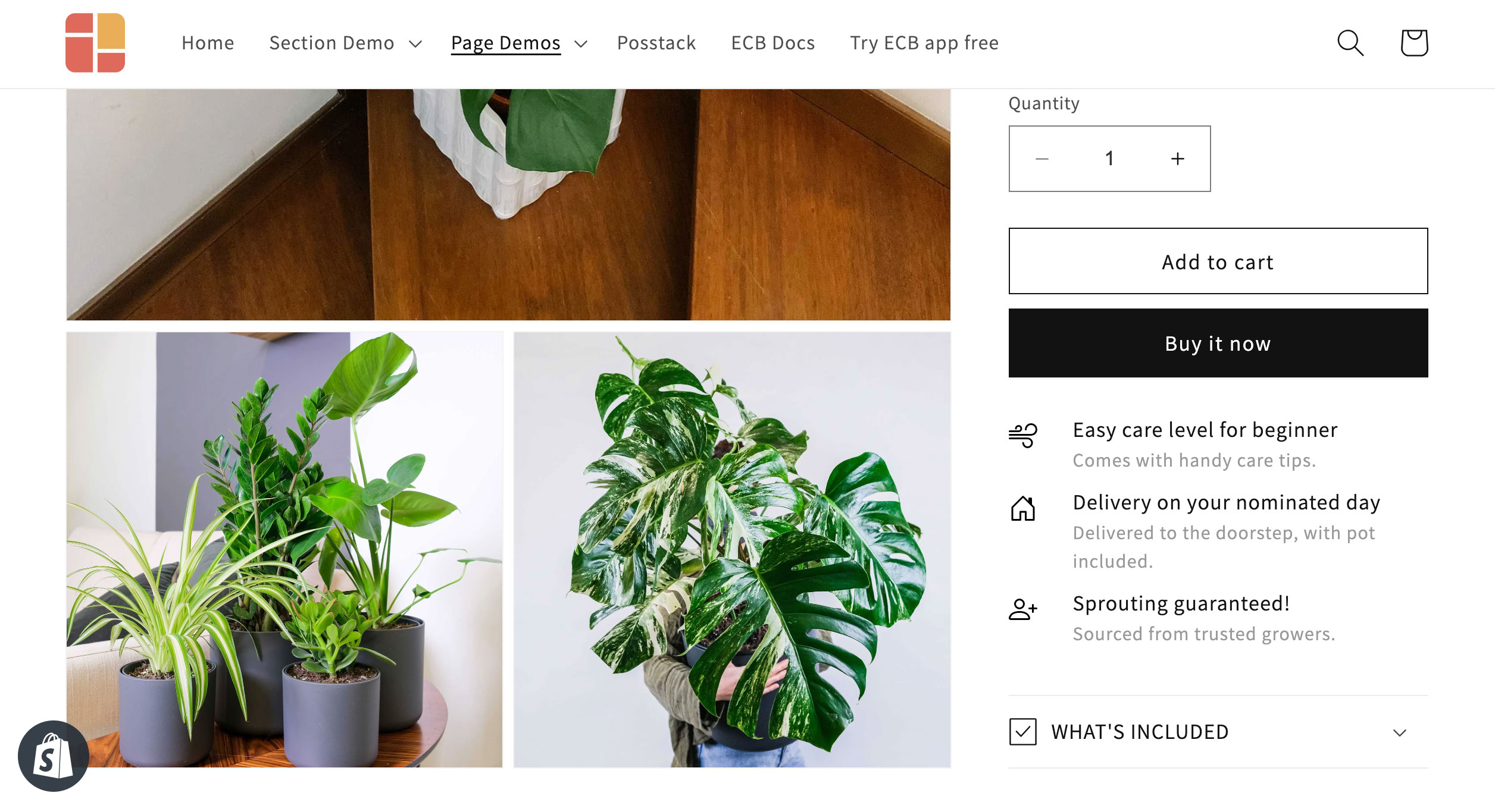 Shopify theme editor