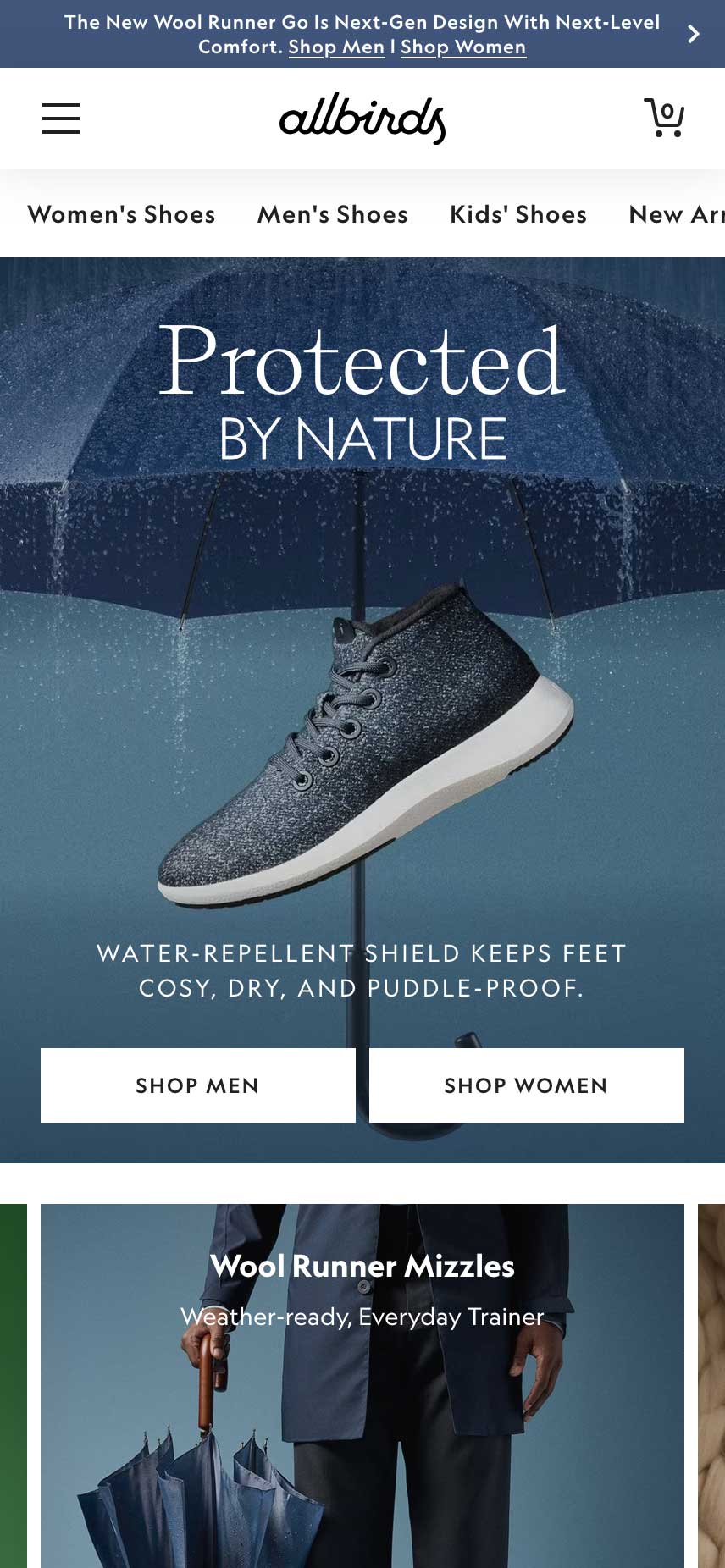 Shopify examples - allbirds hero